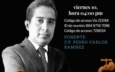 Estado del flujo del efectivo Ponente: C.P. Pedro Carlos Ramirez