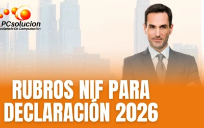 Reportes por Rubros NIF para la Declaración Anual 2026