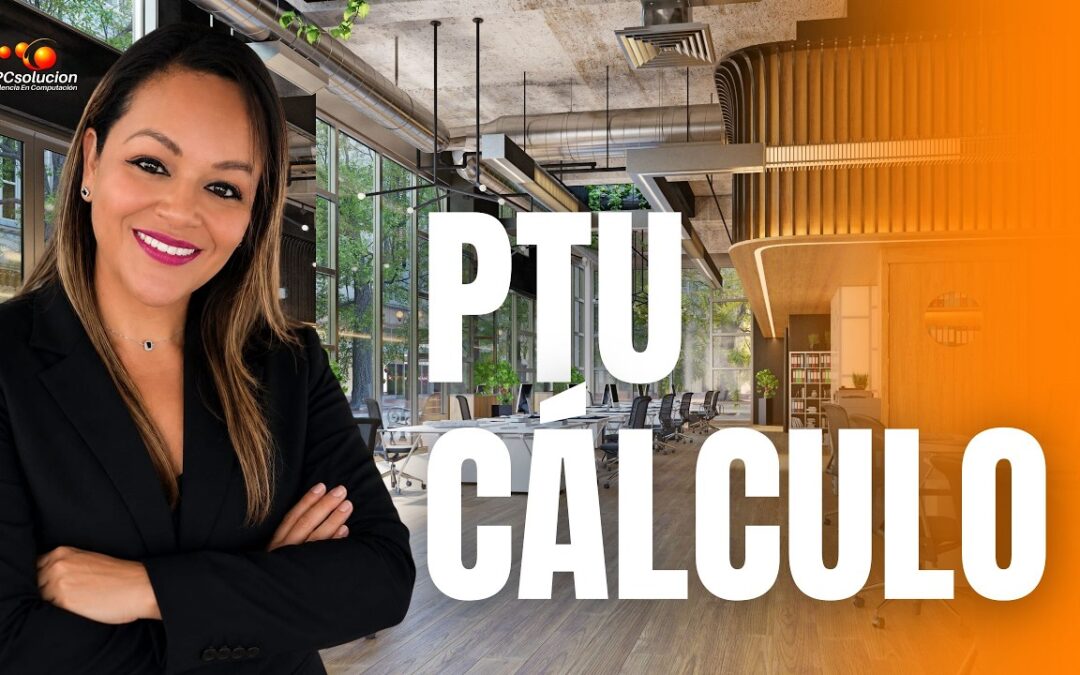 PTU Entorno legal
