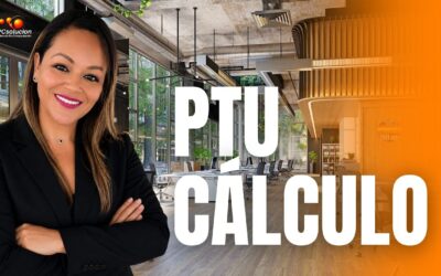 PTU Entorno legal